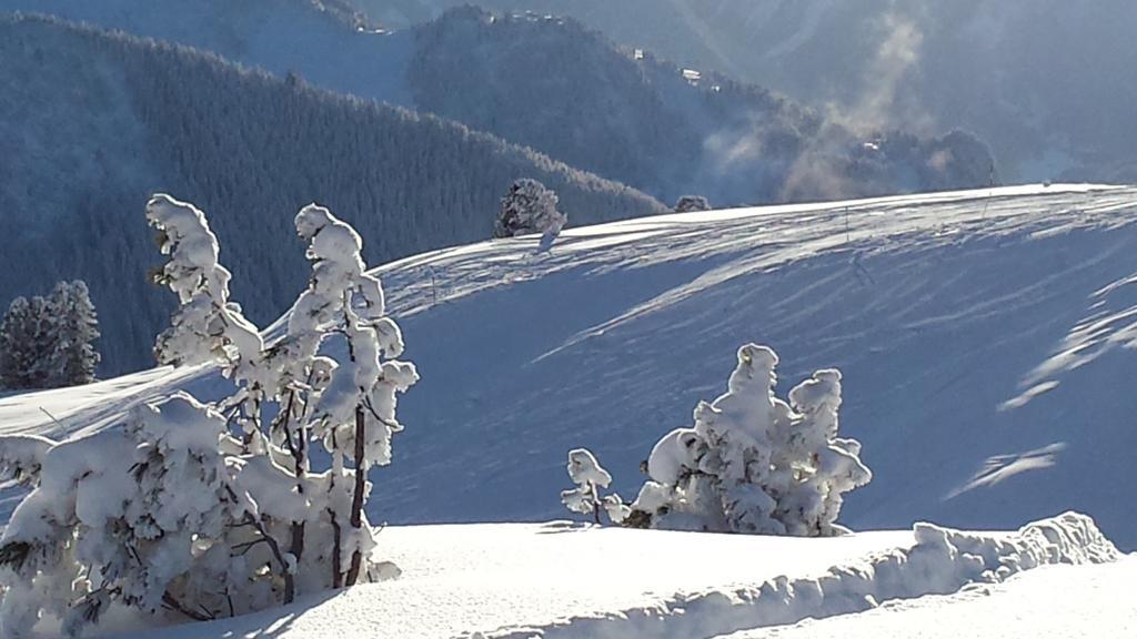 Landhaus Tirol Zellberg Kültér fotó