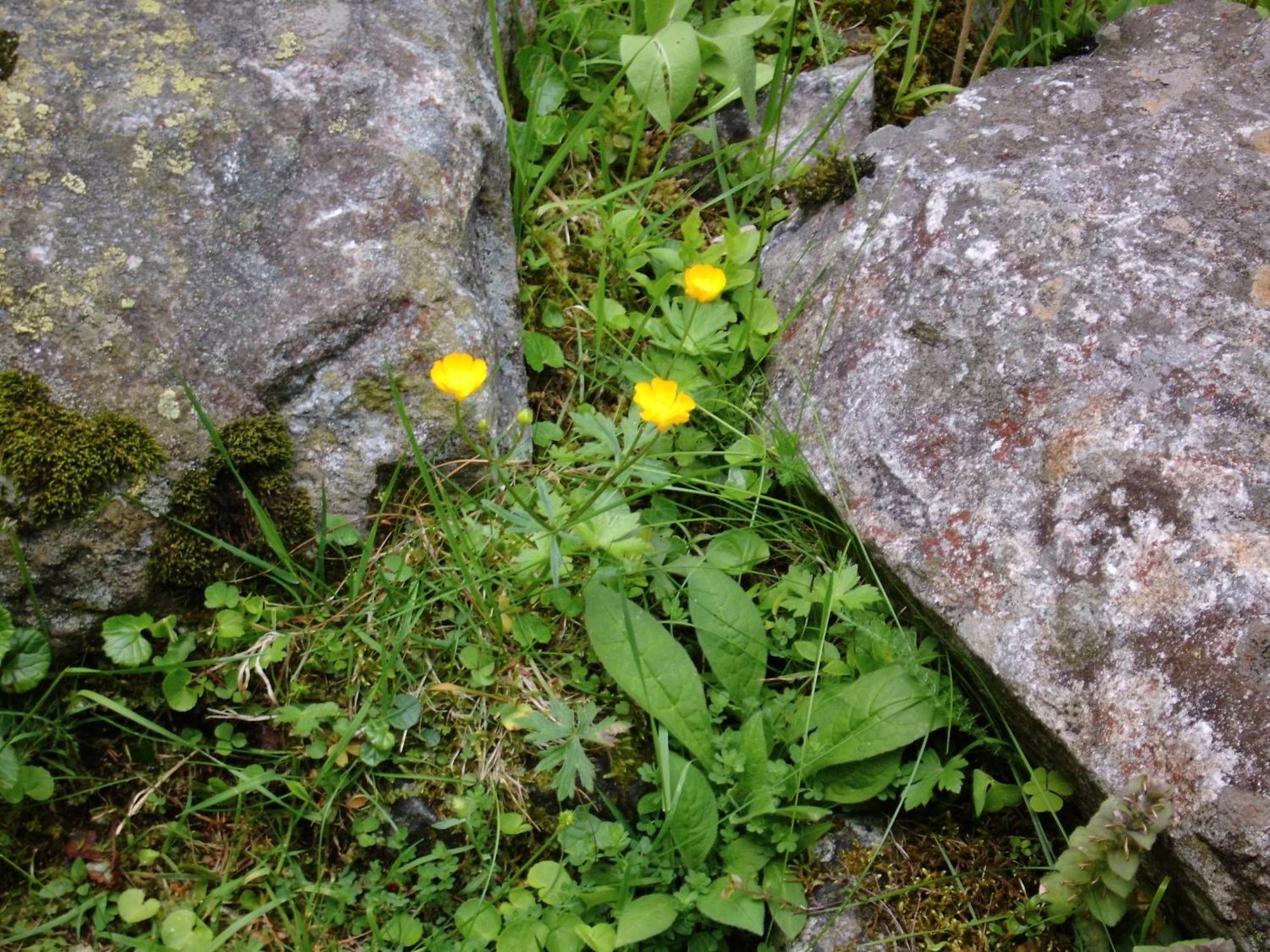 Landhaus Tirol Zellberg Kültér fotó
