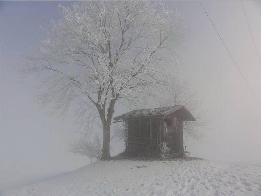 Landhaus Tirol Zellberg Kültér fotó